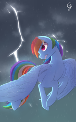 Size: 1200x1920 | Tagged: safe, artist:laptop-pone, rainbow dash, pegasus, pony, g4, female, flying, lightning, rain, signature, solo