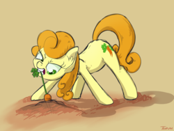 Size: 1280x960 | Tagged: safe, artist:tehflah, carrot top, golden harvest, earth pony, pony, g4, carrot, female, food, mouth hold, solo, tugging