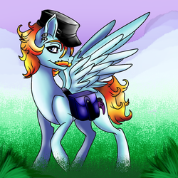 Size: 1024x1024 | Tagged: safe, artist:brainiac, pegasus, pony, full body, hat, male, piercing, saddle bag, solo, stallion