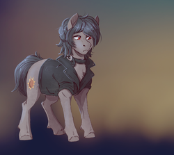 Size: 1222x1090 | Tagged: safe, artist:1an1, oc, oc only, earth pony, pony, clothes, jacket, solo