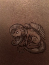 Size: 640x837 | Tagged: safe, artist:sofia-the-dreamer, fluttershy, g4, female, floppy ears, looking up, profile, sad, sitting, solo, spread wings, traditional art