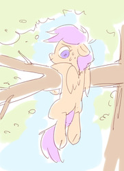 Size: 1280x1772 | Tagged: safe, artist:aphphphphp, scootaloo, pegasus, pony, g4, blank flank, female, filly, floppy ears, foal, hanging, looking down, nervous, solo, sweat, sweatdrop, tree, tree branch