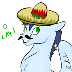 Size: 1000x1000 | Tagged: safe, artist:neonaarts, soarin', pegasus, pony, g4, facial hair, male, moustache, simple background, solo, sombrero, stallion, white background
