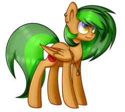 Size: 1617x1440 | Tagged: safe, artist:despotshy, oc, oc only, pegasus, pony, female, mare, simple background, solo, transparent background