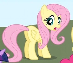 Size: 330x285 | Tagged: safe, screencap, fluttershy, pony, feeling pinkie keen, g4, butt, cropped, female, mare, plot