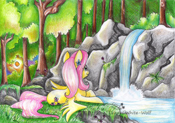 Size: 3489x2450 | Tagged: safe, artist:lunar-white-wolf, fluttershy, g4, female, flower, flower in hair, forest, high res, looking at something, lying down, nature, prone, smiling, solo, spread wings, sunset, traditional art, waterfall