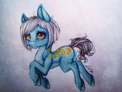 Size: 960x720 | Tagged: safe, artist:alicekuzmacat, oc, oc only, earth pony, pony, solo, stars, traditional art, unshorn fetlocks