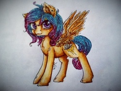 Size: 960x720 | Tagged: safe, artist:alicekuzmacat, oc, oc only, pegasus, pony, photo, solo, traditional art