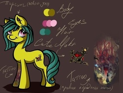 Size: 604x453 | Tagged: safe, artist:alicekuzmacat, oc, oc only, earth pony, pony, reference sheet, russian, solo