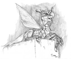 Size: 1400x1162 | Tagged: safe, artist:baron engel, queen chrysalis, changeling, changeling queen, g4, female, grayscale, monochrome, pencil drawing, prone, simple background, sketch, solo, story in the source, traditional art, white background
