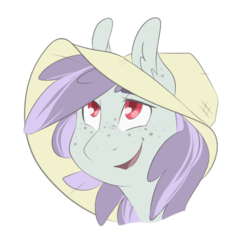 Size: 500x500 | Tagged: safe, artist:jeshh, oc, oc only, oc:bucket list, pony, hat, solo