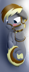 Size: 1000x2434 | Tagged: safe, artist:silver--pen, oc, oc only, oc:silver pen, blushing, bridle, collar, cute, dog collar, i forgot the damn wings again, lineless, new style, solo, tack