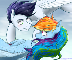 Size: 3000x2500 | Tagged: safe, artist:lrusu, rainbow dash, soarin', pony, g4, high res, looking at each other, male, ship:soarindash, shipping, straight