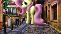 Size: 4000x2250 | Tagged: safe, artist:flutterbatismagic, fluttershy, pegasus, pony, g4, adorable face, alley, butt, city, cute, female, flutterbutt, giant pony, giantess, irl, looking at you, looking back, looking back at you, macro, mare, mischievous, photo, planning, plot, ponies in real life, shading, shyabetes, solo, street, walking, what has science done