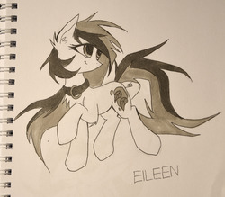 Size: 1280x1120 | Tagged: safe, artist:kejifox, oc, oc only, oc:eileen, chest fluff, collar, solo, traditional art