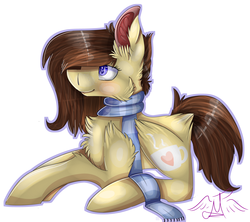 Size: 4288x3800 | Tagged: safe, artist:midnight-the-pony, oc, oc only, pony, absurd resolution, clothes, scarf, simple background, solo