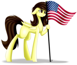 Size: 1024x870 | Tagged: safe, artist:whitehershey, oc, oc only, oc:white hershey, pony, flag, simple background, solo, tall, transparent background, united states