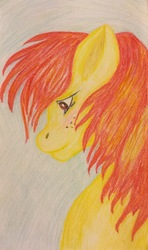 Size: 1734x2936 | Tagged: safe, artist:karredroses, sunburst (g1), earth pony, pony, g1, freckles, male, solo, traditional art