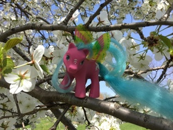 Size: 3264x2448 | Tagged: safe, artist:karredroses, sky dancer, g1, flower, high res, irl, photo, solo, summer wing ponies, toy, tree