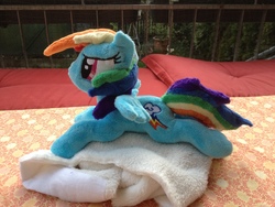 Size: 3264x2448 | Tagged: safe, artist:baraka1980, rainbow dash, g4, high res, irl, photo, plushie, prone, solo