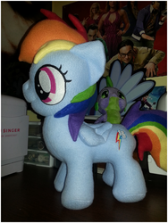 Size: 960x1280 | Tagged: safe, artist:gayboybob, rainbow dash, spike, g4, build-a-bear, irl, photo, plushie, solo focus