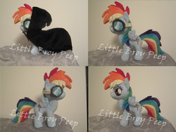 Size: 1597x1199 | Tagged: safe, artist:little-broy-peep, rainbow dash, g4, cape, clothes, female, filly, filly rainbow dash, goggles, hood, hooded cape, irl, photo, plushie, solo