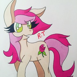 Size: 3024x3024 | Tagged: safe, roseluck, earth pony, pony, g4, female, high res, mare, solo, traditional art