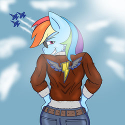 Size: 1024x1025 | Tagged: safe, artist:nwinter3, rainbow dash, anthro, g4, bomber jacket, clothes, f/a-18 hornet, female, grin, jeans, jet, jet fighter, looking back, pants, pilot dash, plane, smiling, solo, sunglasses, wonderbolts logo