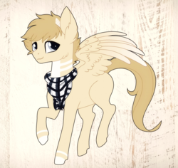 Size: 2446x2306 | Tagged: safe, artist:pexi2012, oc, oc only, pegasus, pony, art trade, digital art, full body, high res, solo