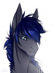 Size: 902x1200 | Tagged: safe, artist:holosta, oc, oc only, beard, blue eyes, blue mane, bust, colt, facial hair, male, portrait, serious face, sketch, solo