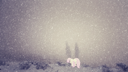 Size: 1920x1080 | Tagged: safe, artist:codershy, artist:sulyo, fluttershy, pegasus, pony, g4, alone, blizzard, female, forest, irl, mare, photo, sad, snow, snowfall, solo, vector, wallpaper