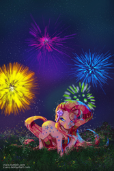 Size: 800x1196 | Tagged: safe, artist:z1ar0, sunblossom, g1, female, fireworks, night, solo, sweetheart sister ponies