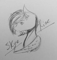 Size: 282x299 | Tagged: safe, oc, oc only, oc:skye rise, pegasus, pony, solo, traditional art