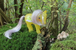 Size: 4272x2848 | Tagged: safe, artist:flicksi, napper, g1, high res, irl, mushroom, photo, solo, toy