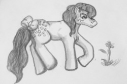 Size: 1000x662 | Tagged: safe, artist:alicornmoonstar, cotton candy (g1), earth pony, pony, g1, bow, female, flower, grayscale, monochrome, solo, traditional art