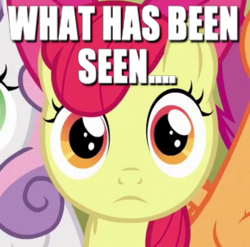 Size: 306x302 | Tagged: safe, edit, edited screencap, screencap, apple bloom, scootaloo, sweetie belle, g4, image macro, meme, shocked, thousand yard stare, what has been seen