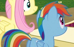 Size: 466x294 | Tagged: safe, screencap, fluttershy, rainbow dash, pony, g4, too many pinkie pies, butt, cropped, female, mare, plot