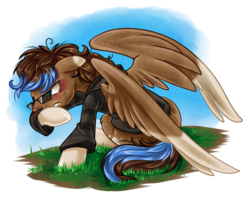 Size: 1500x1200 | Tagged: safe, artist:jadedjynx, oc, oc only, oc:playthrough, pegasus, pony, angry, black eye, blood, broken glasses, bruised, clothes, commission, glasses, male, nerd pony, nosebleed, serious, serious face, simple background, sitting, solo, spread wings, stallion, sunglasses, teeth, torn clothes, transparent background, wings, wiping