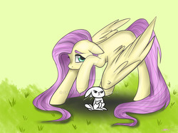 Size: 1024x768 | Tagged: safe, artist:shafeles, angel bunny, fluttershy, g4, covering, duo, looking at you, looking up, missing cutie mark, raised hoof, watermark