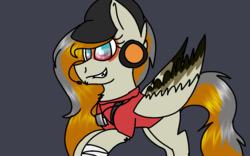 Size: 1280x800 | Tagged: safe, oc, oc only, pegasus, pony, clothes, cosplay, costume, scout (tf2), solo, team fortress 2