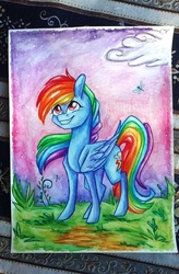 Size: 718x1094 | Tagged: safe, artist:twixyamber, rainbow dash, dragonfly, g4, cloud, female, photo, solo, traditional art
