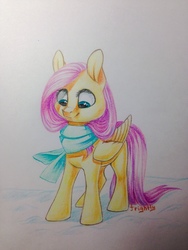 Size: 960x1280 | Tagged: safe, artist:theorderofalisikus, fluttershy, g4, clothes, female, scarf, solo, traditional art