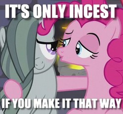 Size: 345x320 | Tagged: safe, edit, edited screencap, screencap, marble pie, pinkie pie, earth pony, pony, g4, hearthbreakers, blushing, caption, cropped, female, image macro, imminent incest, incest, mare, meme, pinkmarble, text, twincest, twins