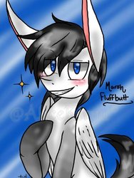 Size: 600x800 | Tagged: safe, artist:ariel-kiryu394, oc, oc only, oc:marshmallow fluffbutt, pegasus, pony, male, solo, stallion