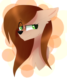 Size: 2137x2480 | Tagged: safe, artist:huirou, oc, oc only, oc:hazel, deer pony, original species, bust, high res, portrait, simple background, solo, transparent background