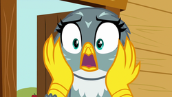 Size: 1280x720 | Tagged: safe, screencap, gabby, griffon, g4, the fault in our cutie marks, female, horrified, shocked, solo