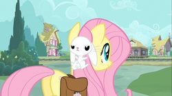 Size: 1100x618 | Tagged: safe, screencap, angel bunny, fluttershy, pony, g4, just for sidekicks, butt, female, mare, plot, saddle bag