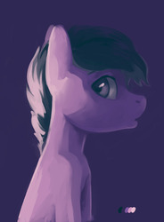 Size: 1280x1737 | Tagged: safe, artist:aphphphphp, oc, oc only, earth pony, pony, bust, limited palette, male, solo, stallion