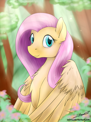 Size: 3000x4000 | Tagged: safe, artist:xeirla, fluttershy, g4, chest fluff, crepuscular rays, female, forest, solo