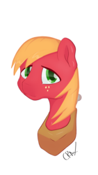 Size: 2880x5120 | Tagged: safe, artist:crax, artist:crax97, big macintosh, earth pony, pony, g4, bust, colored pupils, male, portrait, signature, simple background, solo, stallion, transparent background